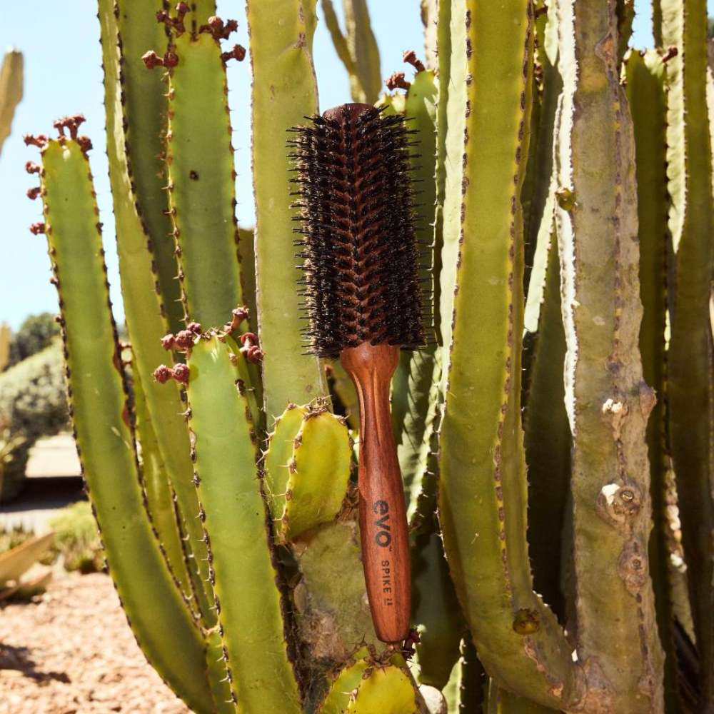 Evo Spike 28 Radial Brush